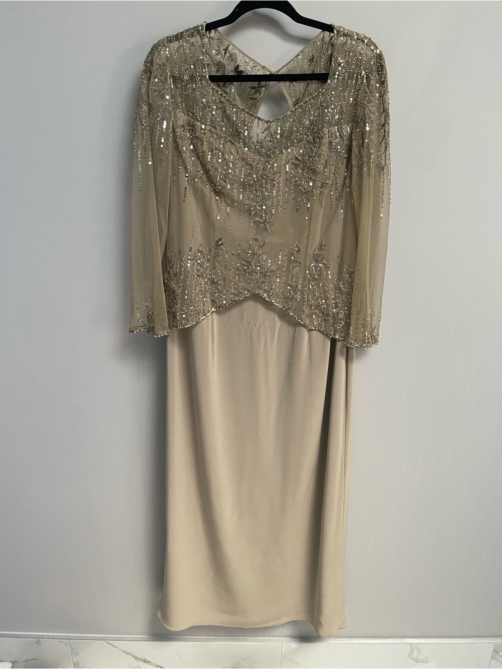 Embellished Long-Sleeve Evening Dress in Champagne